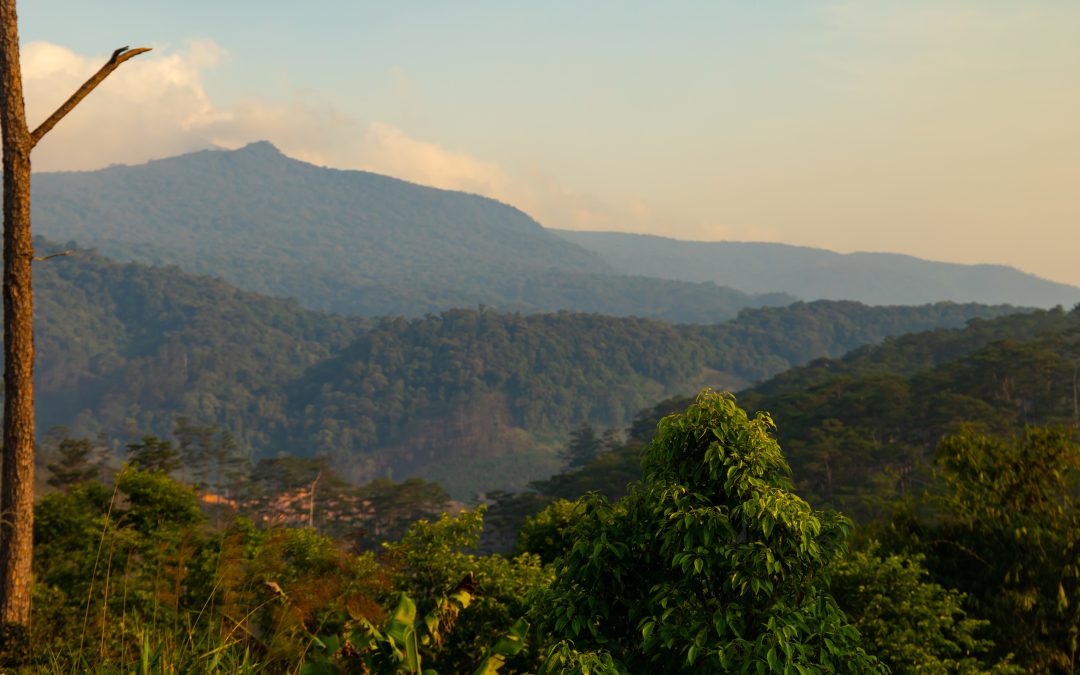 Oscar Julian Villegas gomez Colombia restituye tierras