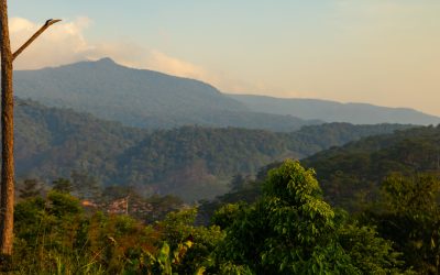 Oposición en procesos de restitución de tierras: qué es y cómo funciona