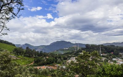 Requisitos para solicitar la restitución de tierras en Colombia en 2026