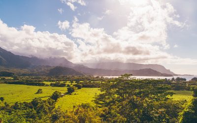 ¿Qué es la restitución de tierras en Colombia y cómo funciona el proceso?